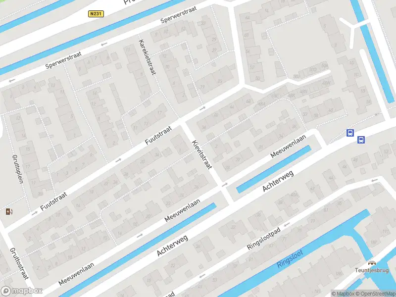 Ambulance met gepaste spoed naar de Kievitstraat in Nieuwkoop