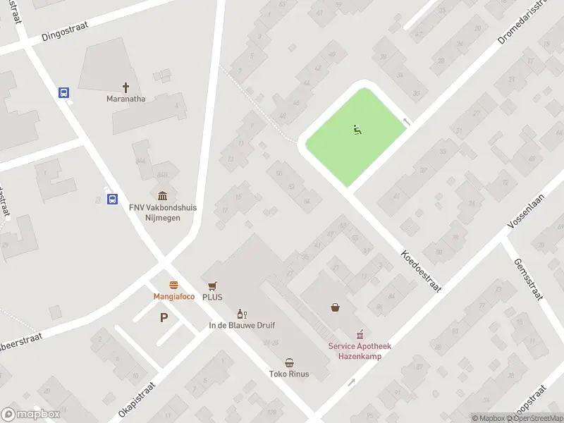 Brandweer met gepaste spoed naar de Alligatorstraat in Nijmegen vanwege afhijsen patient