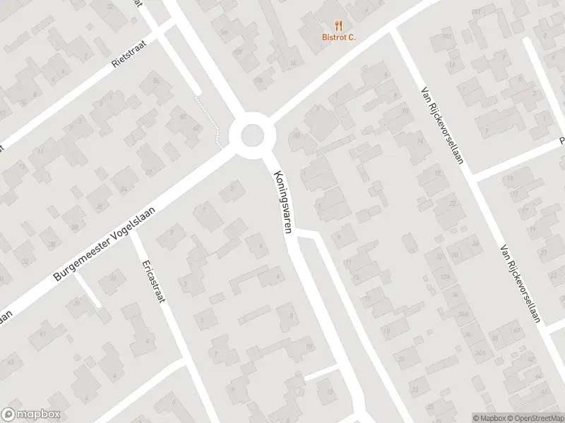 Politie met grote spoed naar de Koningsvaren in Oisterwijk vanwege letsel
