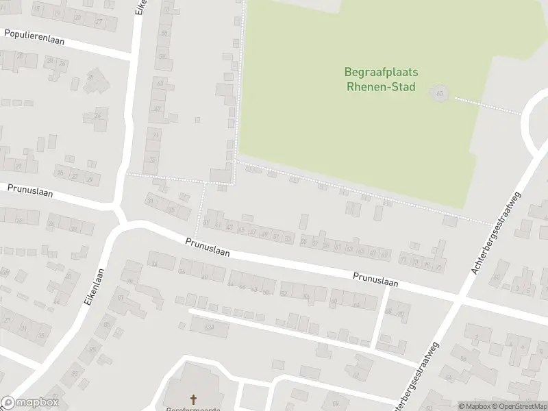 Brandweer met gepaste spoed naar de Prins Bernhardstraat in Rhenen