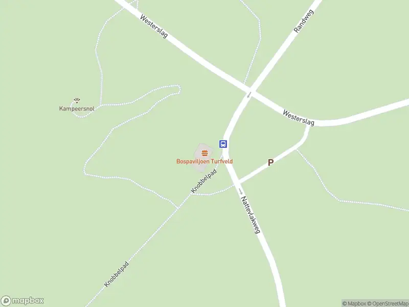 Brandweer met grote spoed naar de Nattevlakweg in Den Burg