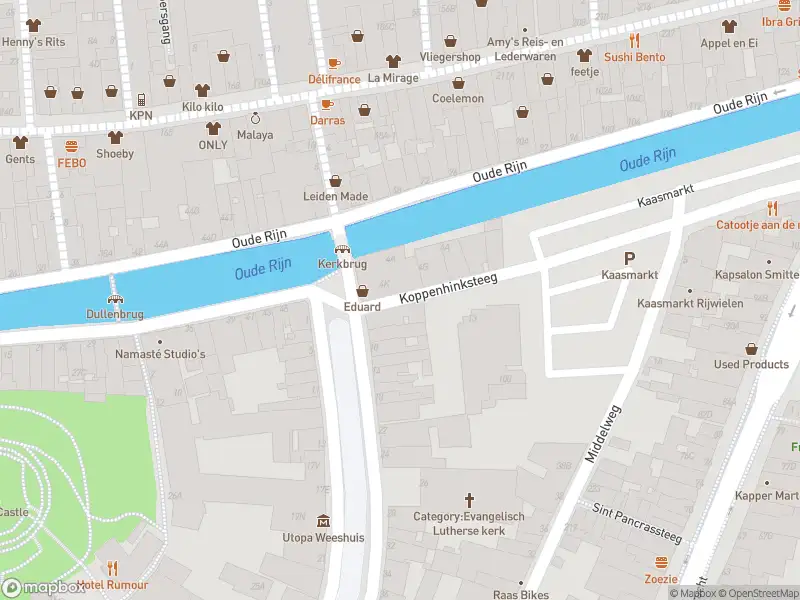 Politie met grote spoed naar de Koppenhinksteeg in Leiden vanwege ongeval met letsel