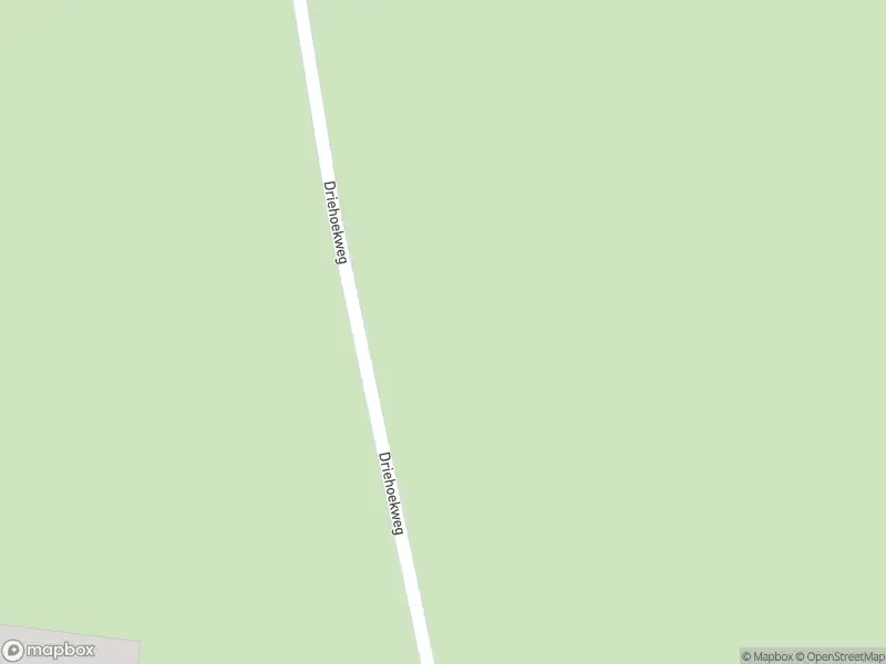 Overlastmelding Driehoekweg in Best