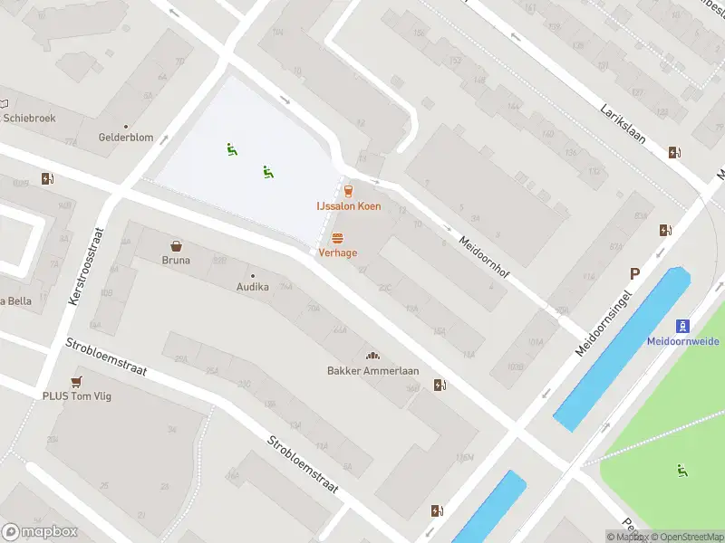 Ambulance met grote spoed naar de Peppelweg in Rotterdam
