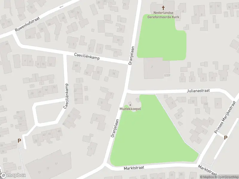 Brandweer met gepaste spoed naar de Oranjelaan in Neede