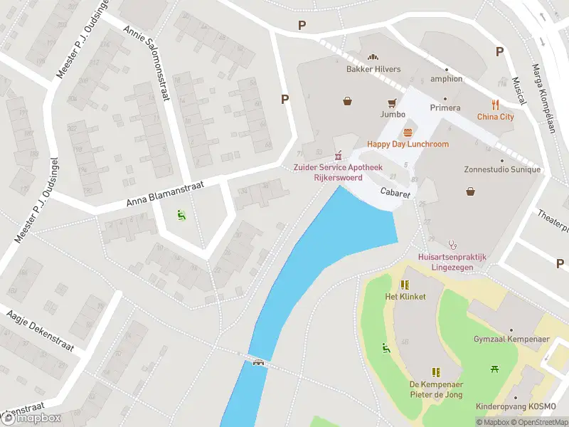 Brandweer met normale urgentie naar de Mr. P.J. Oudsingel in Arnhem vanwege dier(en) in nood