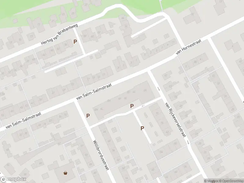 Overlastmelding Van Salm-Salmstraat in Loon op Zand gesloten
