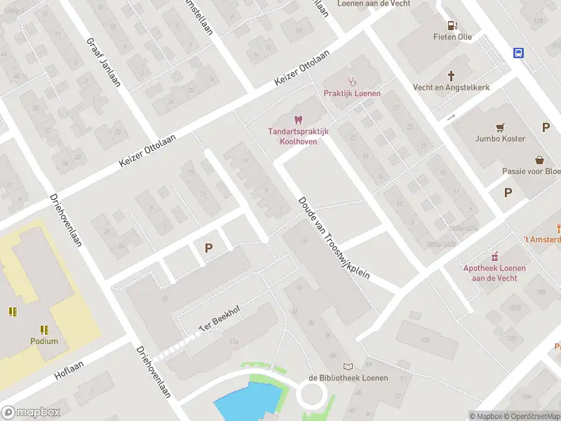 Overlastmelding Doude van Troostwijkplein in Loenen aan de Vecht gesloten