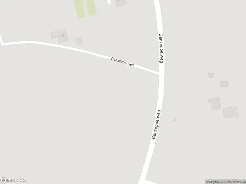 Politie naar de Ganzepoelweg in Angerlo vanwege steekincident