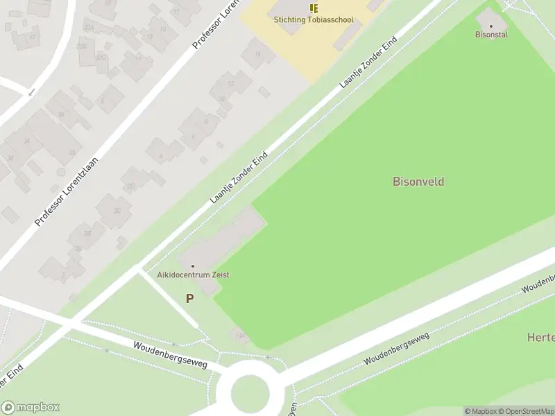 Overlastmelding Bethaniëplein in Zeist