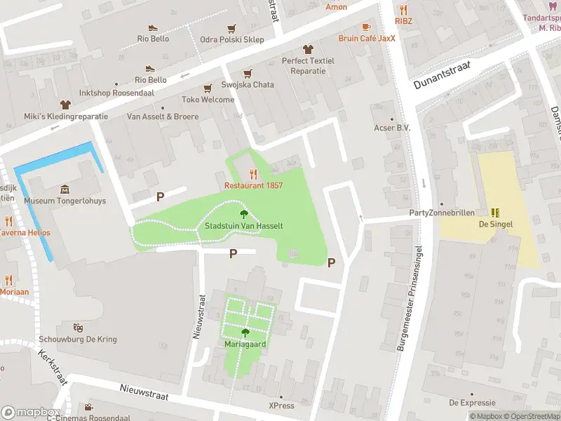 Politie met grote spoed naar de Raadhuisstraat in Roosendaal vanwege letsel