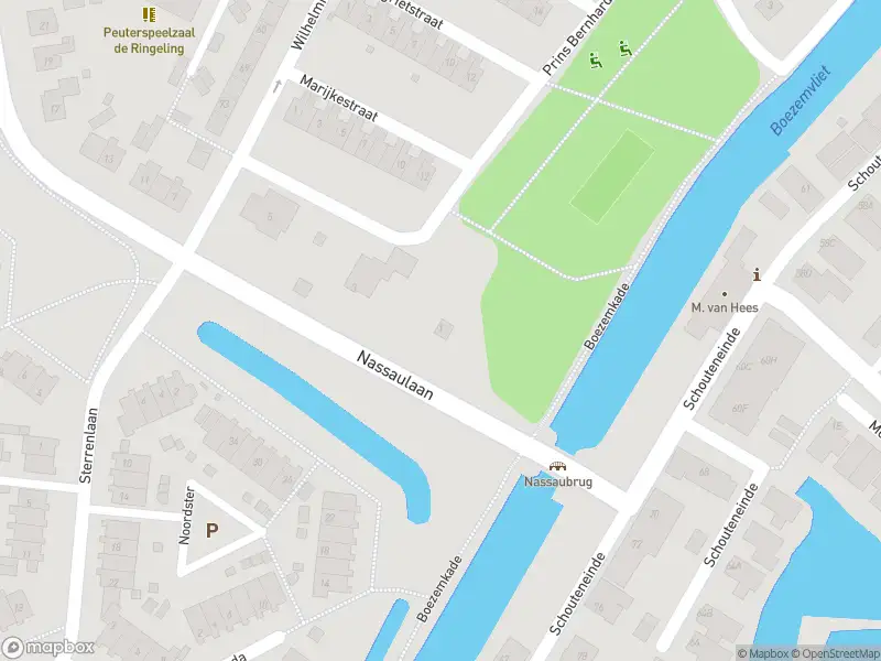 Overlastmelding Nassaulaan in Puttershoek