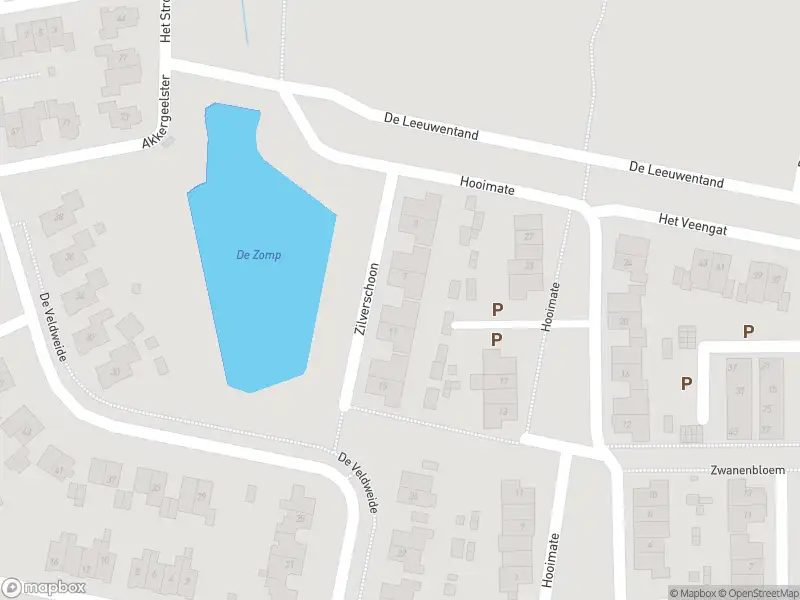 Overlastmelding Zilverschoon in Brummen
