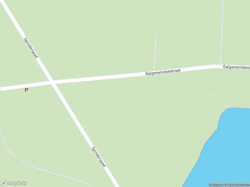 Overlastmelding Spinderspad in Loon op Zand