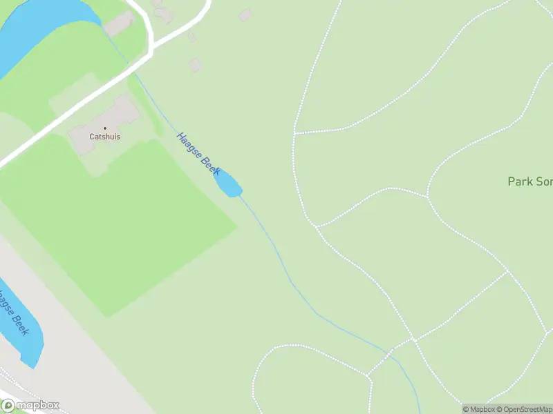 Ambulance met grote spoed naar de Johan de Wittlaan in 's-Gravenhage