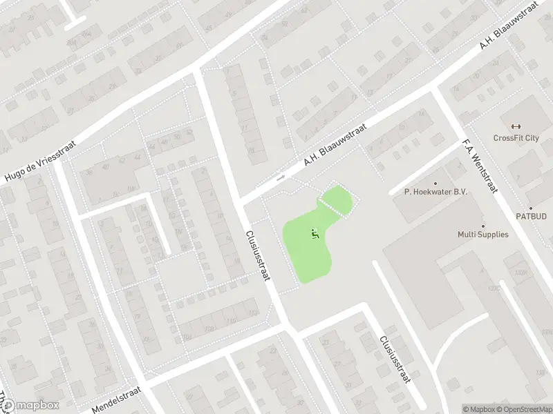 Overlastmelding Clusiusstraat in Aalsmeer
