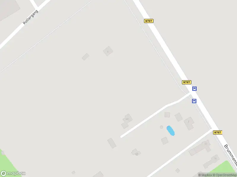 Brandweer met gepaste spoed naar de Dierenseweg in Eerbeek vanwege dier(en) in nood
