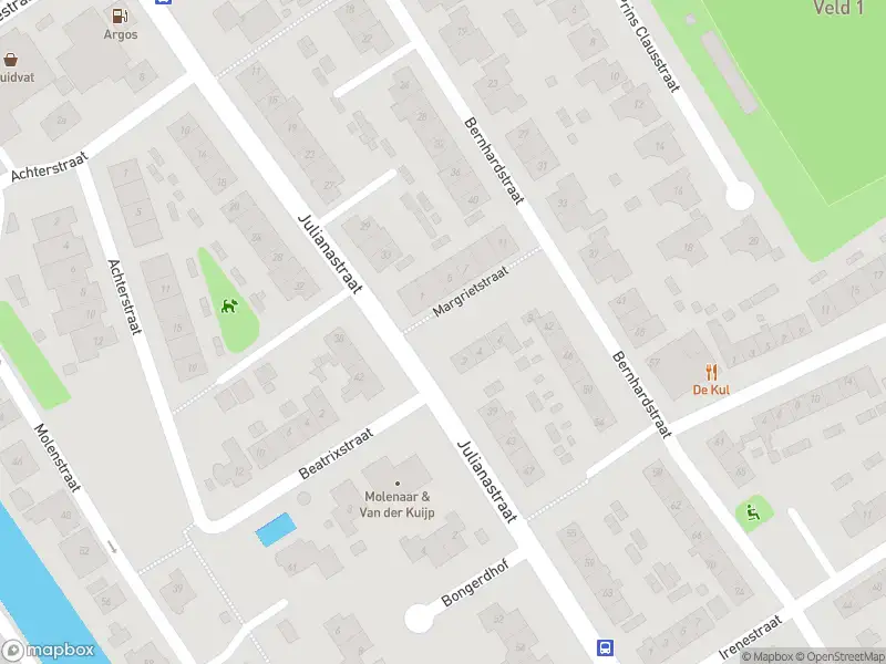 Ambulance met gepaste spoed naar de Margrietstraat in Strijen