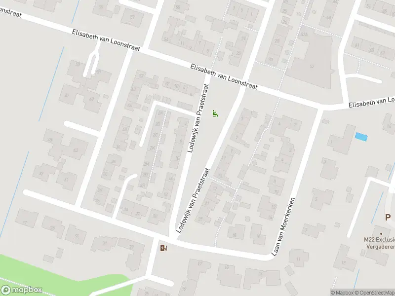 Ambulance met grote spoed naar de Lodewijk van Praetstraat in Mijnsheerenland