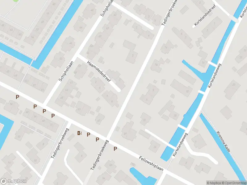 Ambulance met grote spoed naar de Tedingerbroekweg in Nootdorp