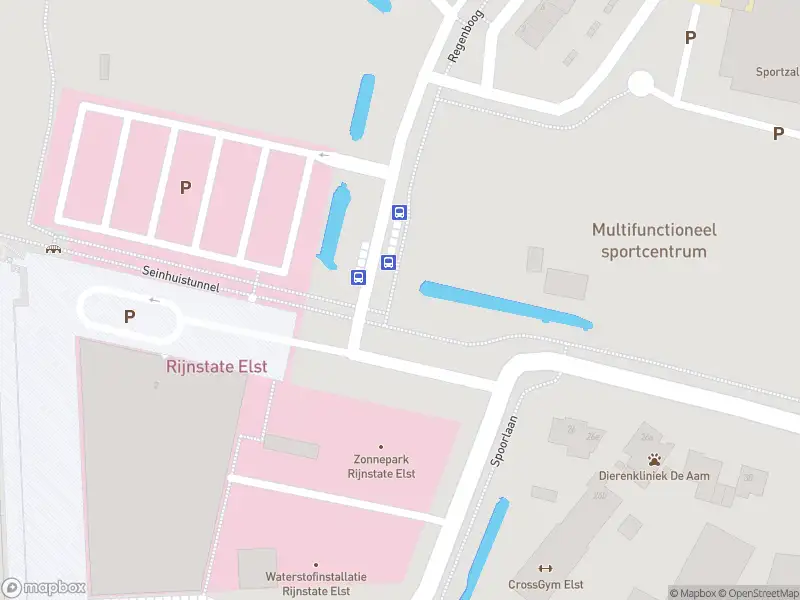 Overlastmelding Nieuwe Aamsestraat in Elst