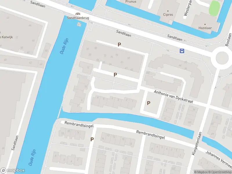 Overlastmelding Jan van Goyenplein in Rijnsburg