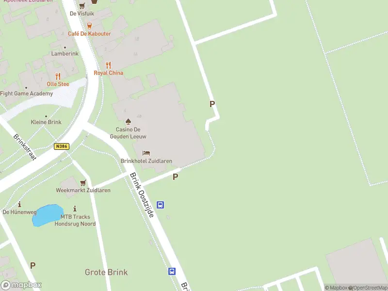 Politie met grote spoed naar de Brink O.Z. in Zuidlaren vanwege ongeval met letsel
