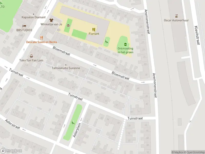 Overlastmelding Bloemstraat in Den Helder gesloten