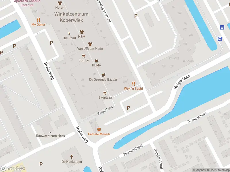 Ambulance met gepaste spoed naar de Reigerlaan in Capelle aan den IJssel