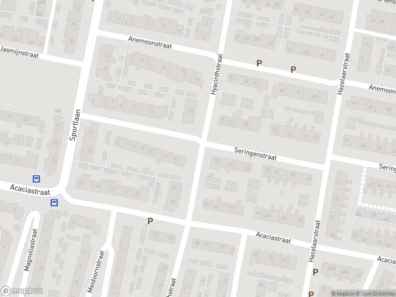 Ambulance met gepaste spoed naar de Hyacinthstraat in Oud-Beijerland