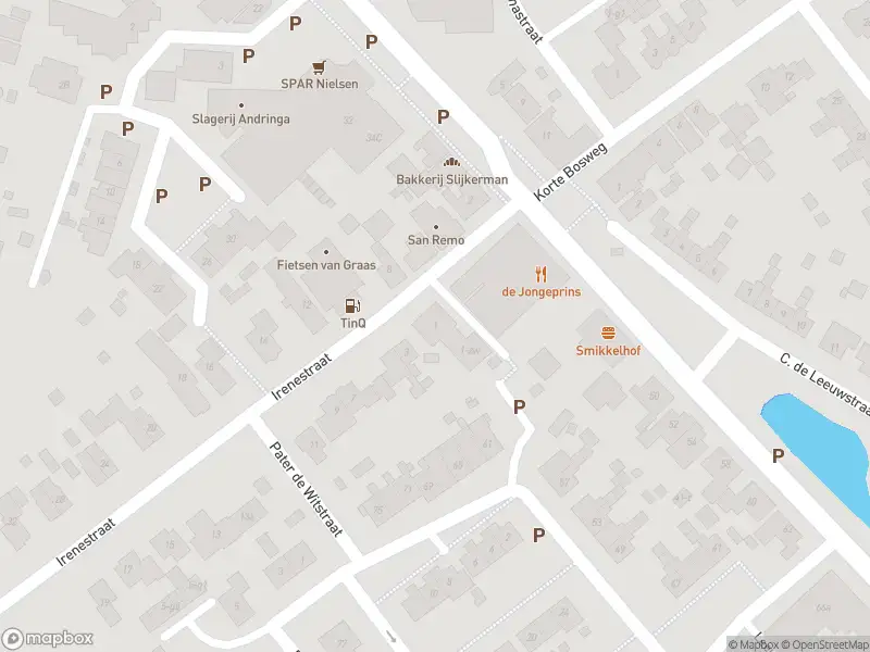 Overlastmelding Irenestraat in 't Zand