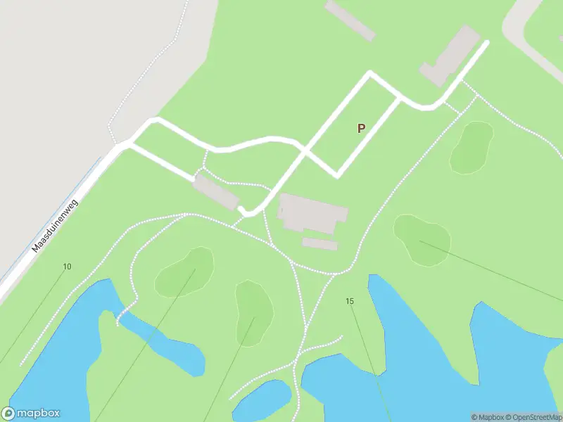 Ambulance met gepaste spoed naar de Maasduinenweg in Evertsoord