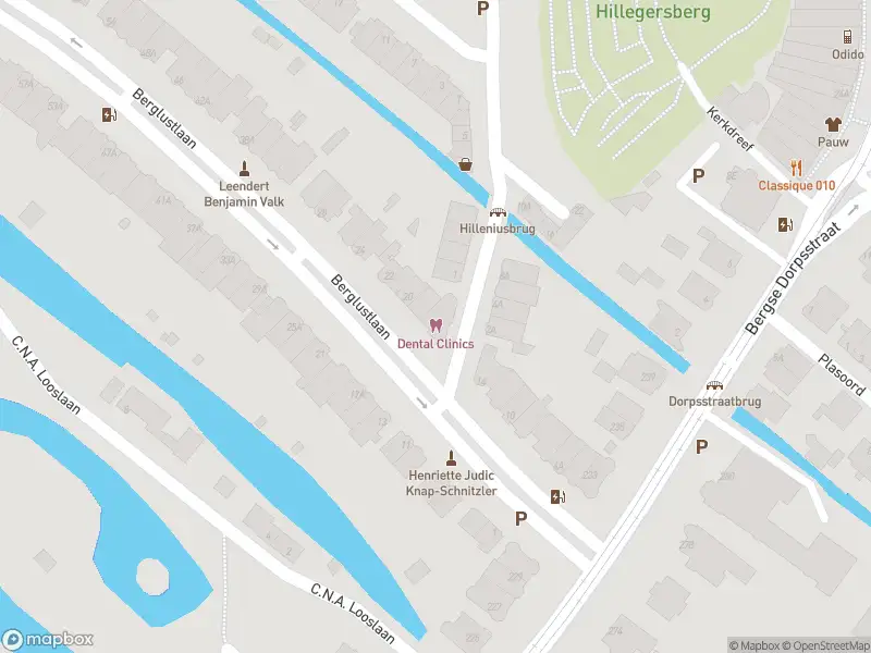 Ambulance met gepaste spoed naar de Berglustlaan in Rotterdam