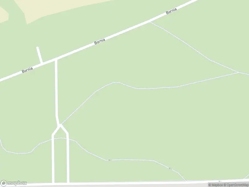 Brandweer met grote spoed naar de Bornia in Driebergen-Rijsenburg