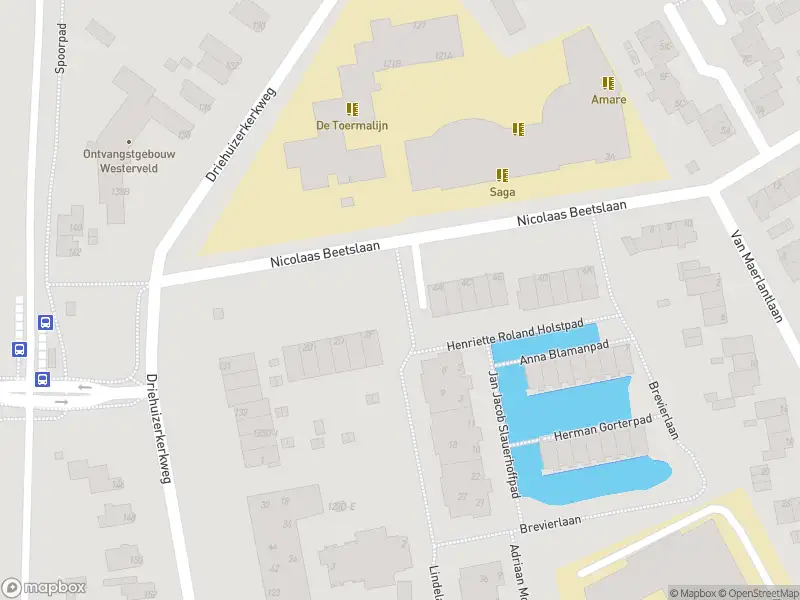 Overlastmelding Nicolaas Beetslaan in Driehuis gesloten