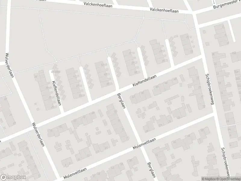Overlastmelding Kieftendellaan in Santpoort-Noord