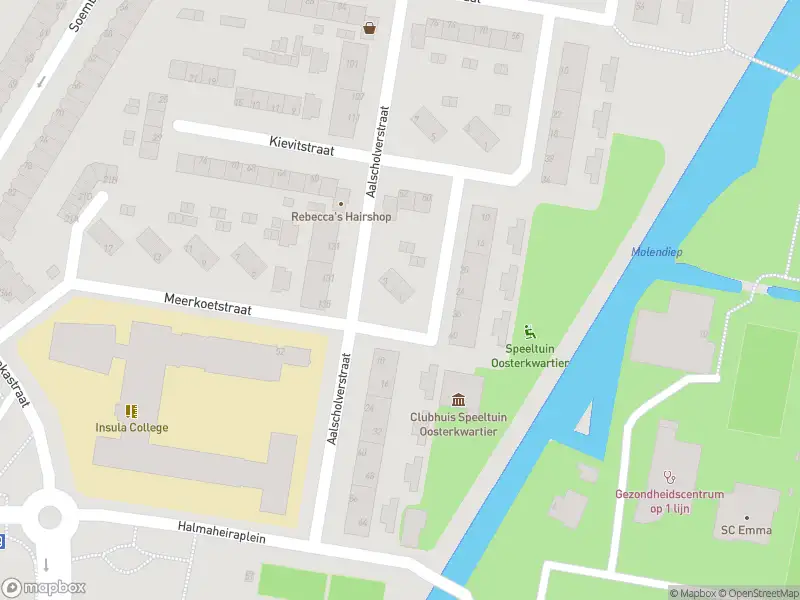 Ambulance met gepaste spoed naar de Meerkoetstraat in Dordrecht