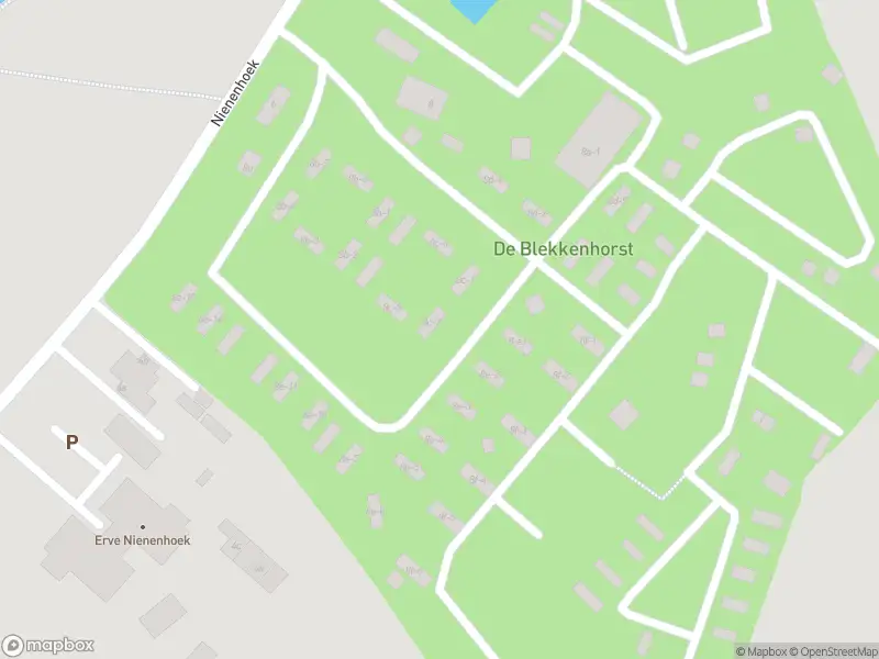 Brandweer met gepaste spoed naar de Nienenhoek in Den Ham