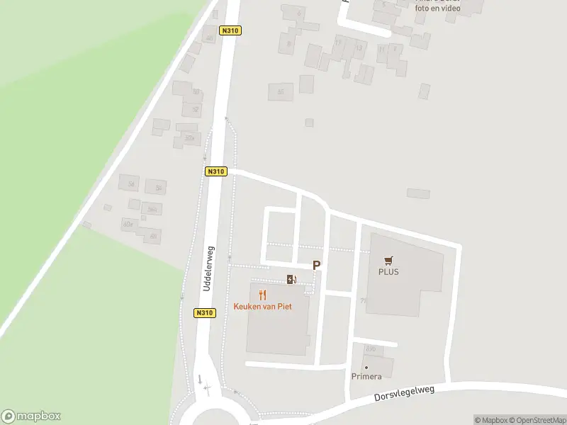 Brandweer met gepaste spoed naar de Uddelerweg in Elspeet