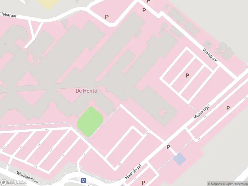 Brandweer met gepaste spoed naar de Wielingenlaan in Terneuzen