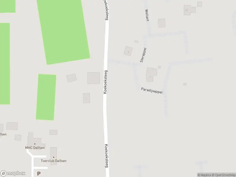 Brandweer met gepaste spoed naar de Koekoeksteeg in Dalfsen vanwege waarnemen gaslucht