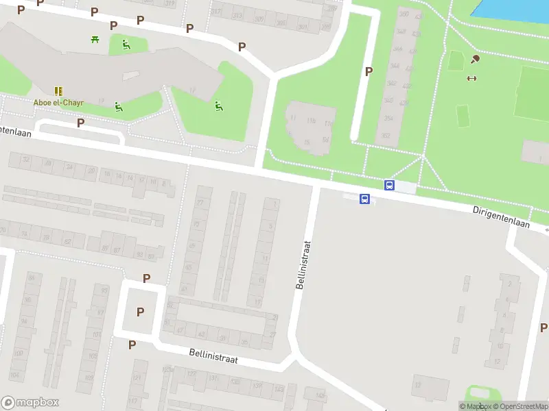 Overlastmelding Bellinistraat in Tilburg