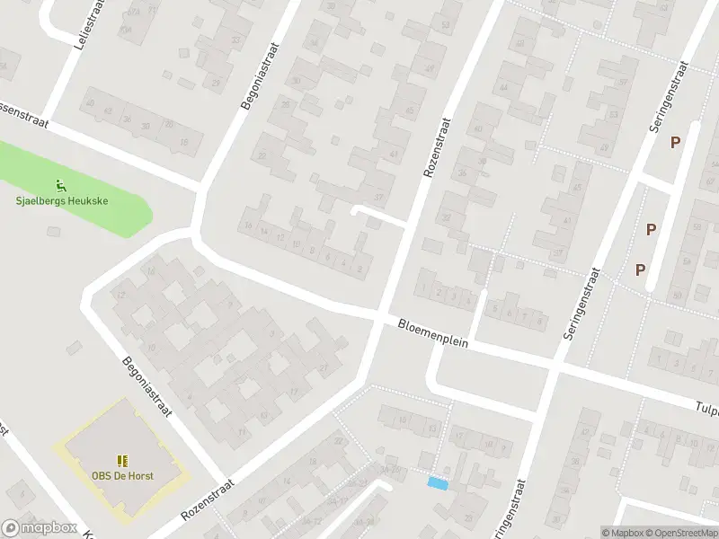 Overlastmelding Narcissenstraat in Echt