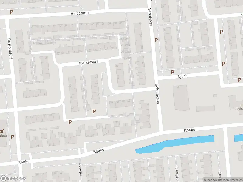 Brandweer met gepaste spoed naar de Dongeradyk in Dokkum