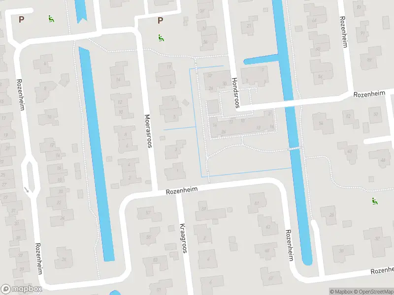 Brandweer met gepaste spoed naar de Schuttevaer in Dedemsvaart