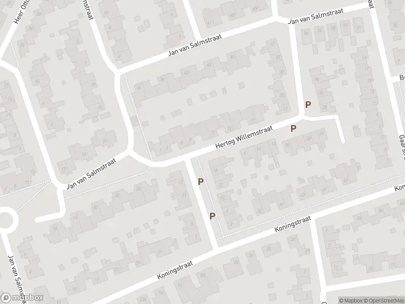 Overlastmelding Hertog Willemstraat in Born gesloten