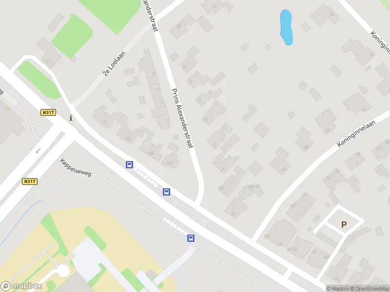Overlastmelding Prins Alexanderstraat in Doetinchem
