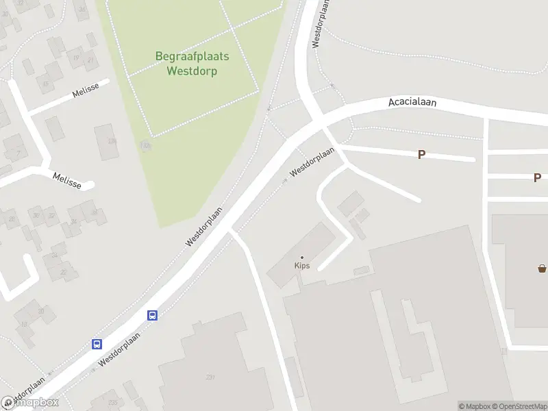 Overlastmelding Westdorplaan in Raalte