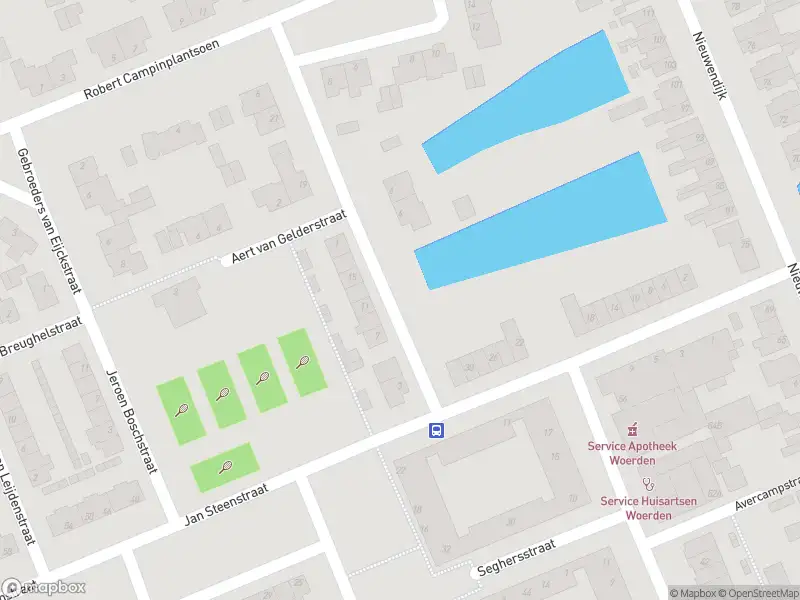 Brandweer met gepaste spoed naar de Hans Memlingstraat in Woerden vanwege stormschade