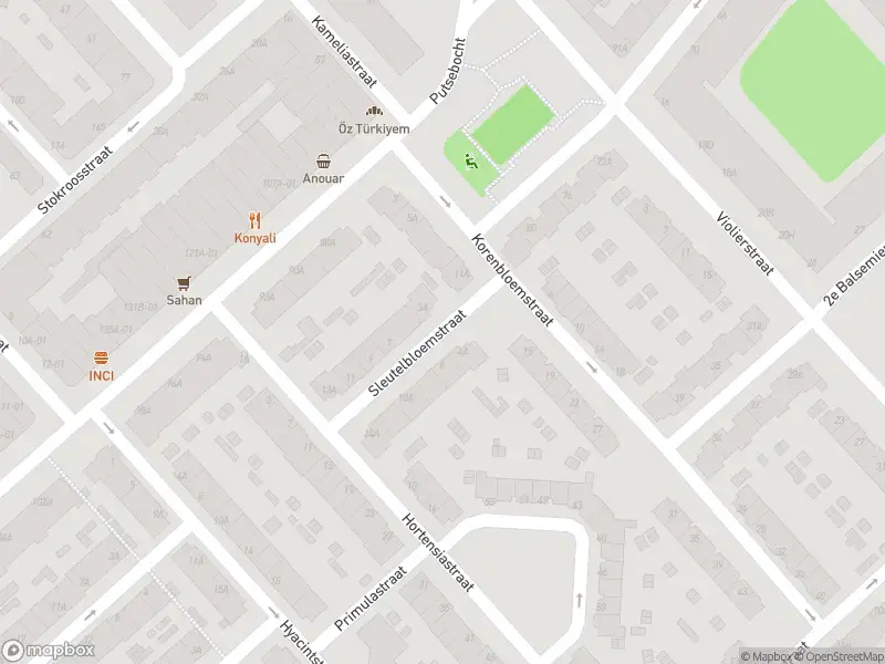 Ambulance met grote spoed naar de Sleutelbloemstraat in Rotterdam